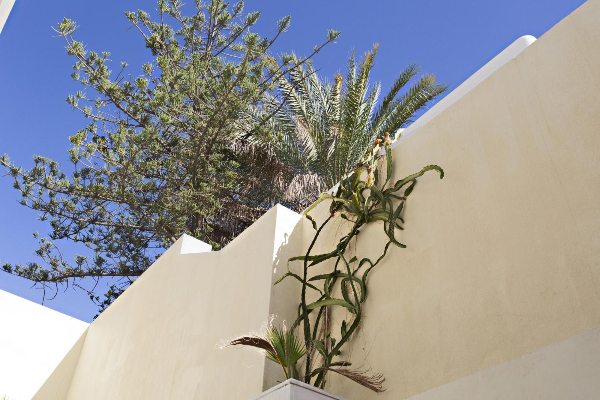 Tavira Historical Center Apartments エクステリア 写真